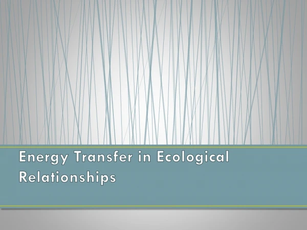 Energy Transfer in Ecological Relationships