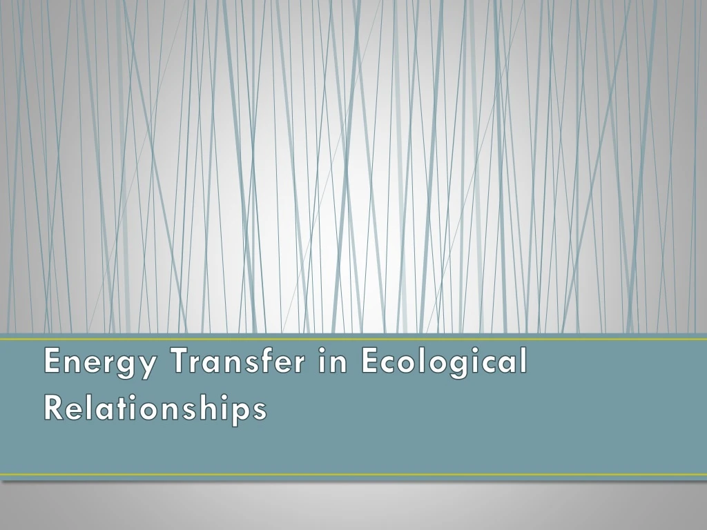 energy transfer in ecological relationships