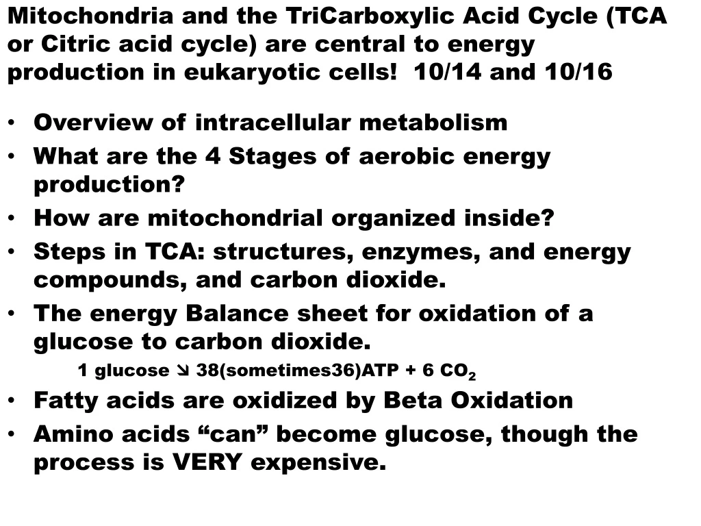mitochondria and the tricarboxylic acid cycle