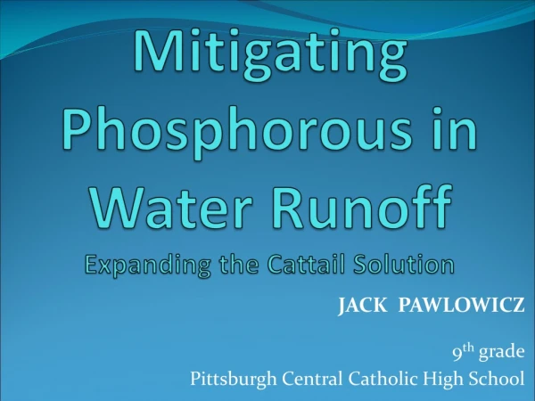Mitigating Phosphorous in Water Runoff Expanding the Cattail Solution