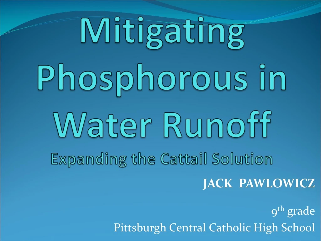 mitigating phosphorous in water runoff expanding the cattail solution