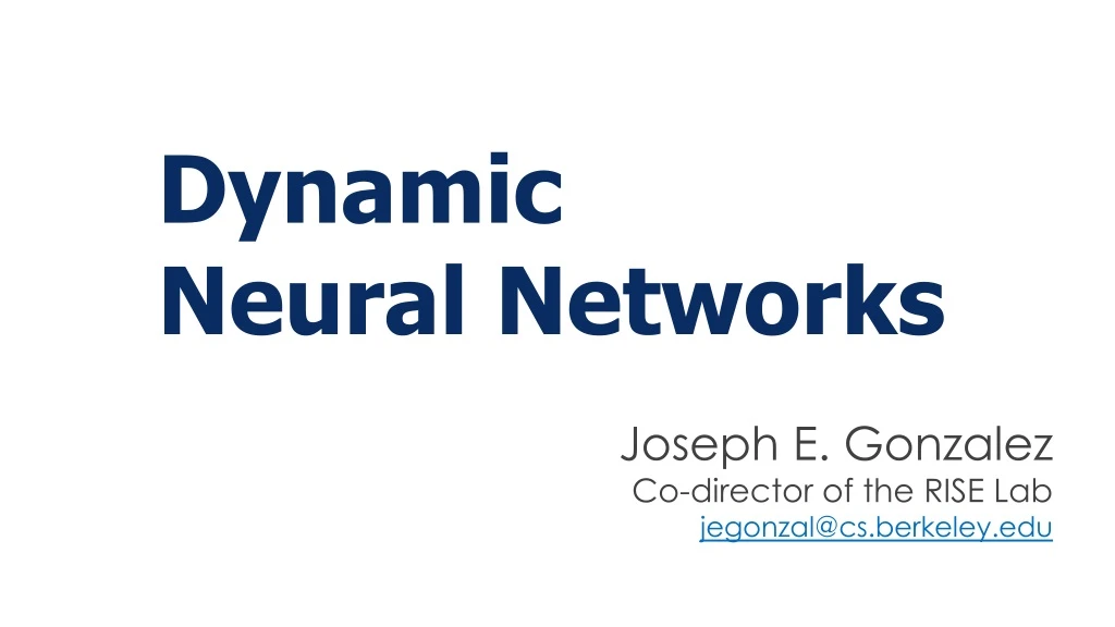 dynamic neural networks