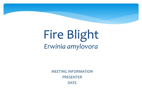 Fire Blight Erwinia amylovora