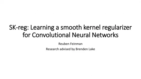 SK- reg : Learning a smooth kernel regularizer for Convolutional Neural Networks
