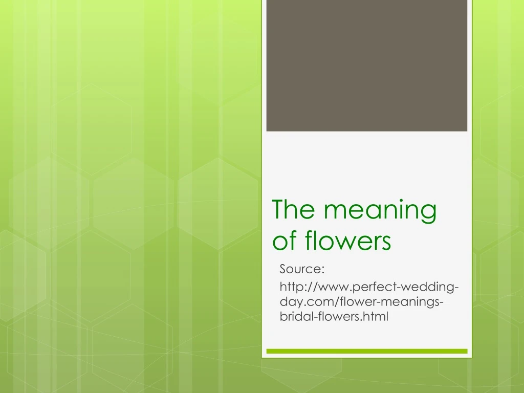 the meaning of flowers