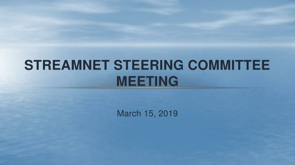 streamnet steering committee meeting