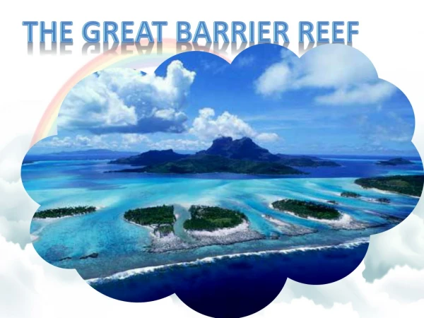 the Great Barrier Reef