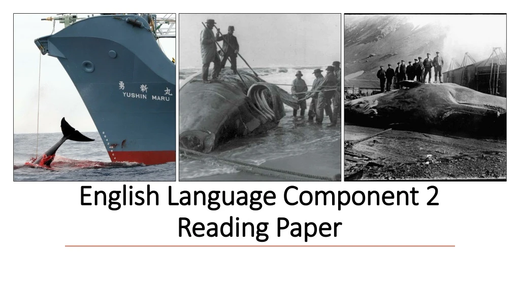 english language component 2 reading paper