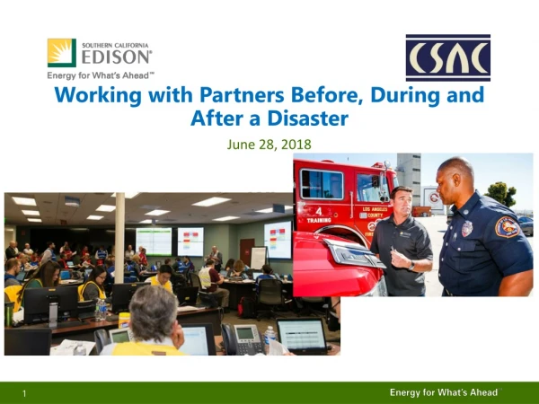 Working with Partners Before, During and After a Disaster
