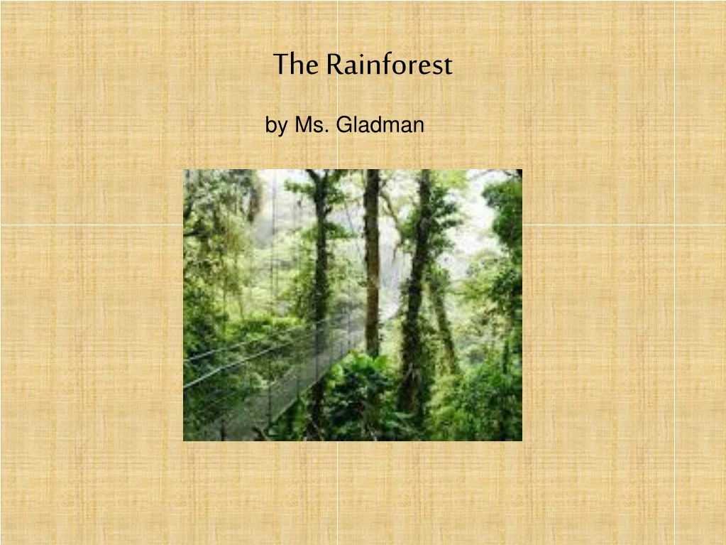 the rainforest