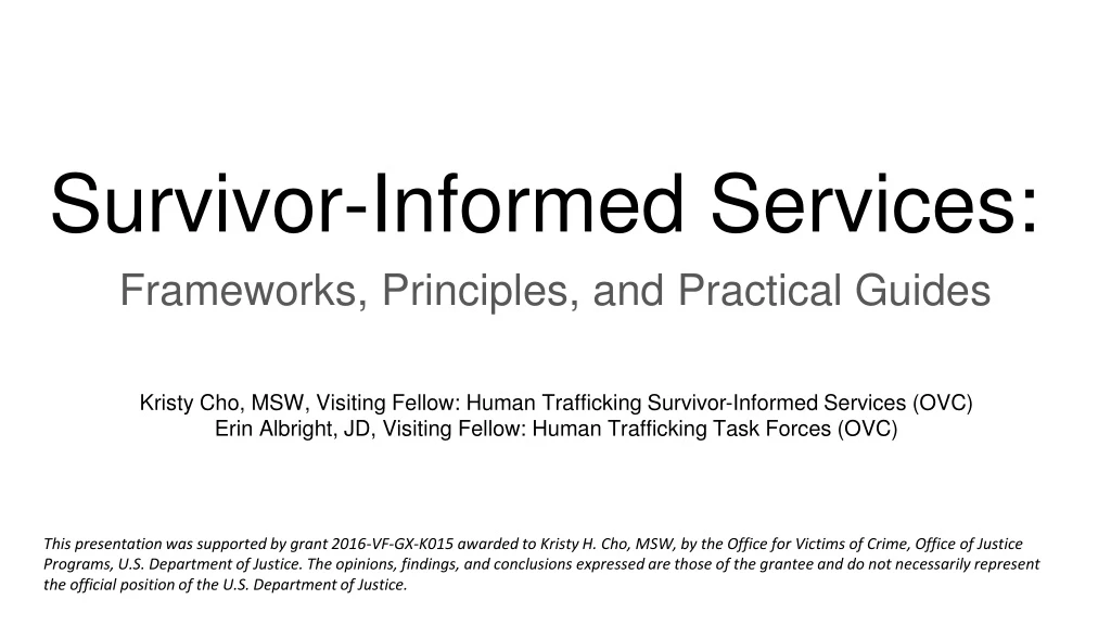 survivor informed services frameworks principles