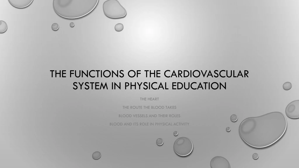 the functions of the cardiovascular system in physical education