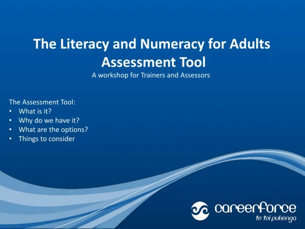 The Literacy and Numeracy for Adults Assessment Tool