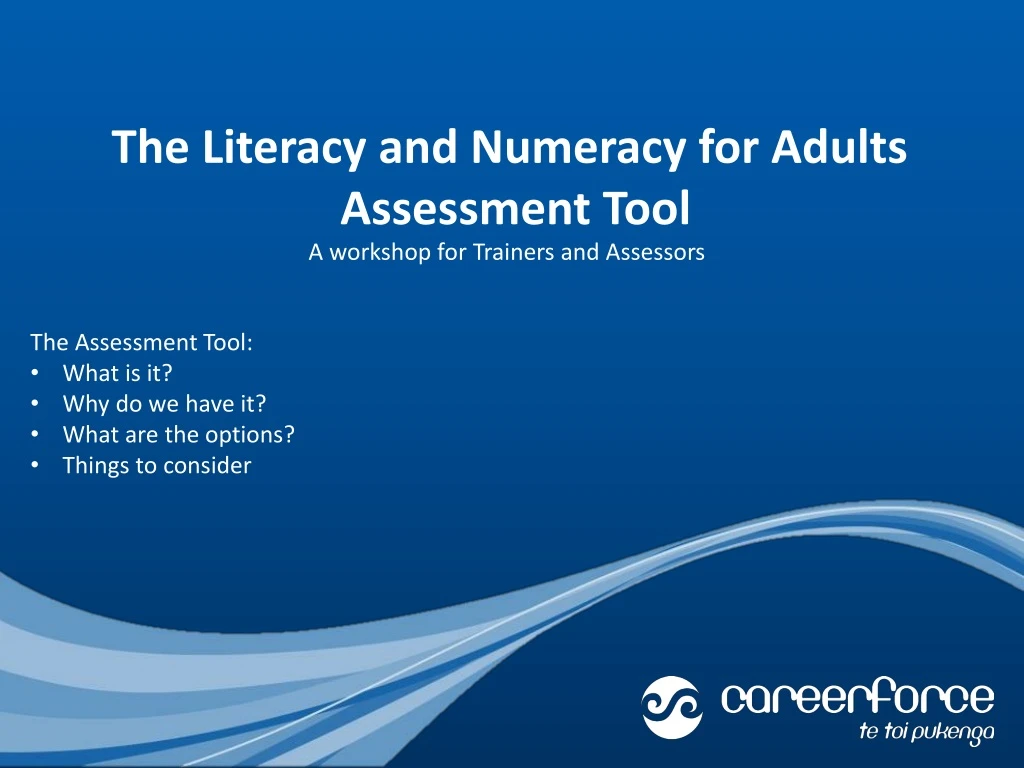 the literacy and numeracy for adults assessment