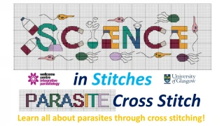in Stitches - slide 1