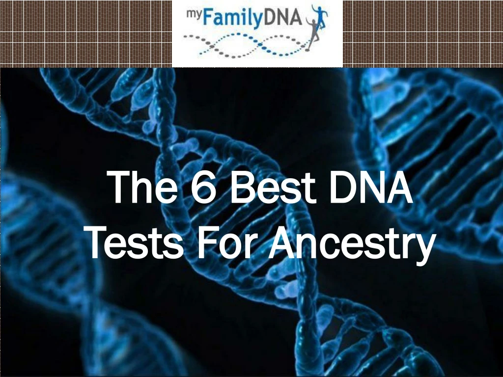 the 6 best dna tests for ancestry