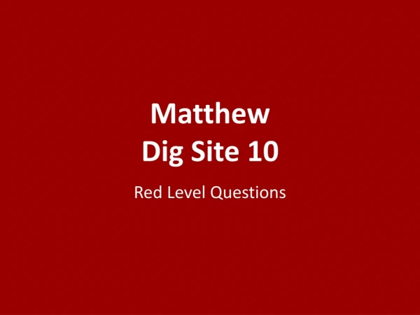 Matthew Dig Site 10