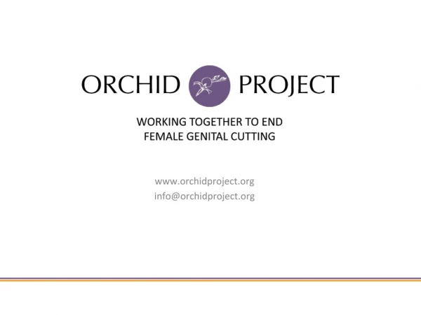 orchidproject info@orchidproject