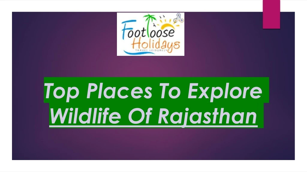 top places to explore wildlife of rajasthan