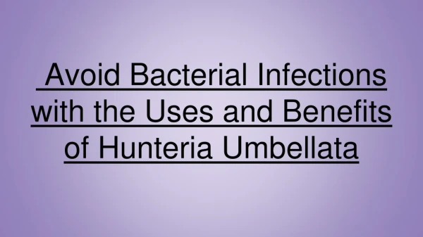 Avoid Bacterial Infections with the Uses and Benefits of Hunteria Umbellata