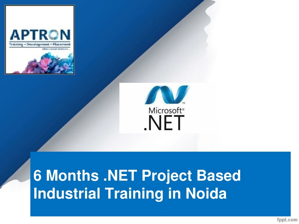 6 months net project based industrial training in noida