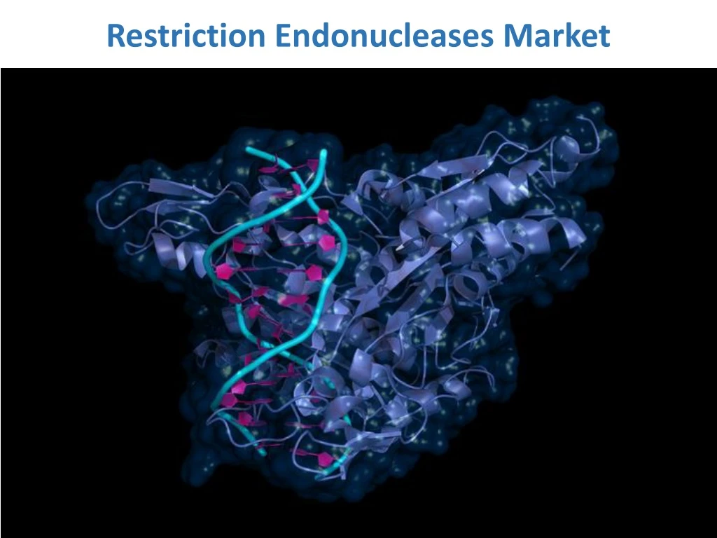 restriction endonucleases market