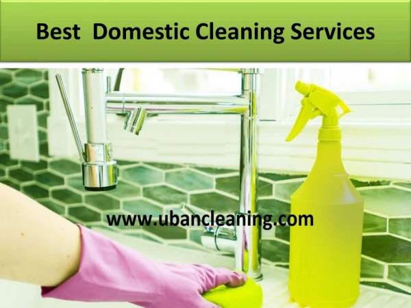 Domestic cleaning