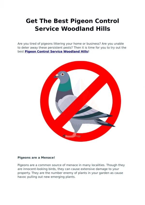 get the best pigeon control service woodland hills