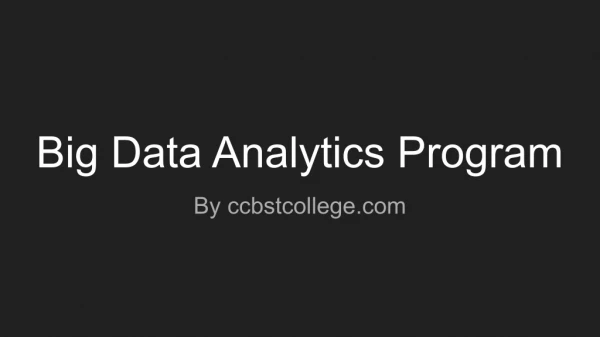 big data analytics program