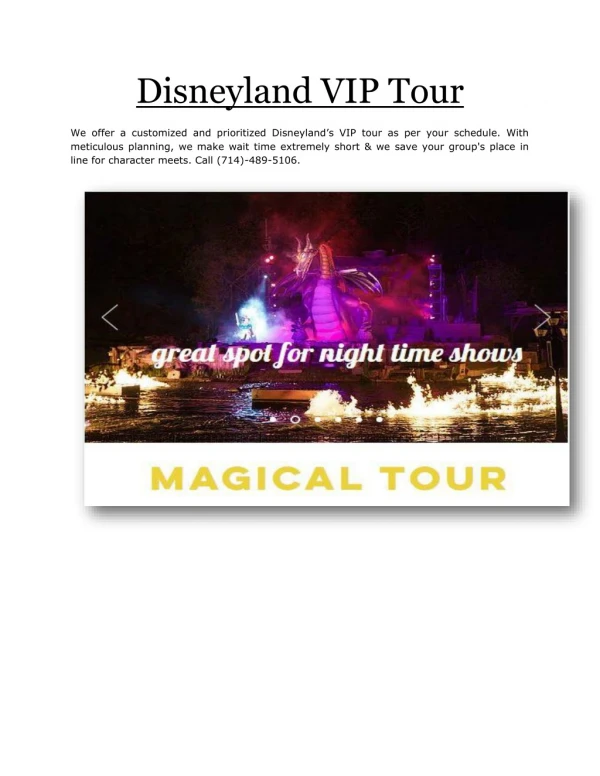 Disneyland VIP tour