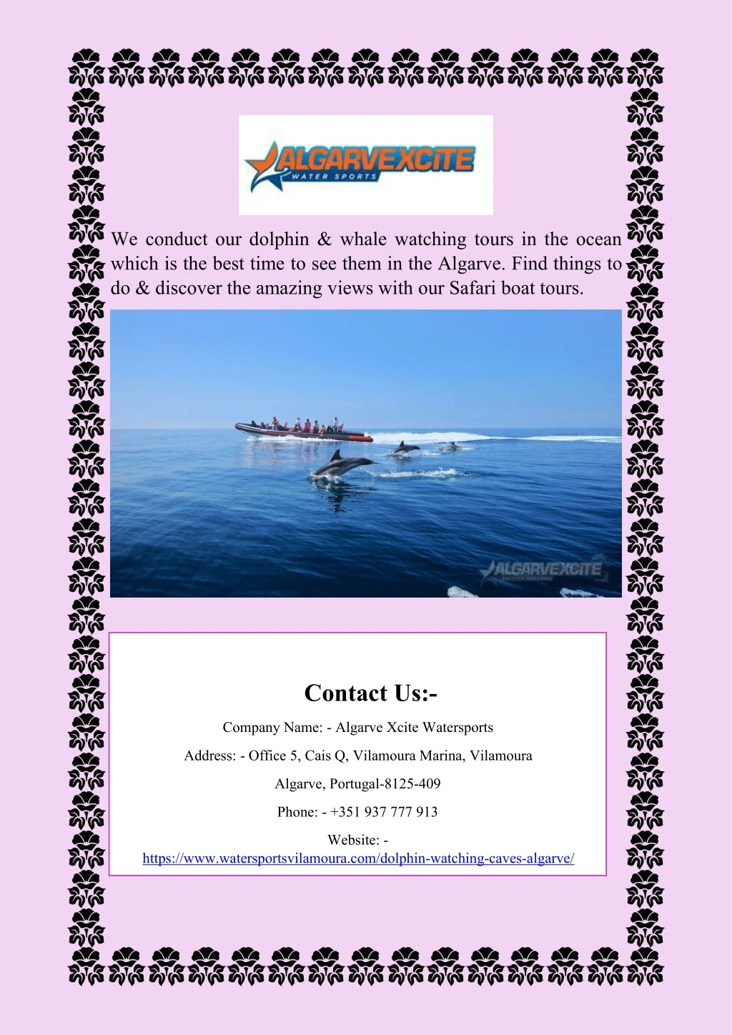 we conduct our dolphin whale watching tours