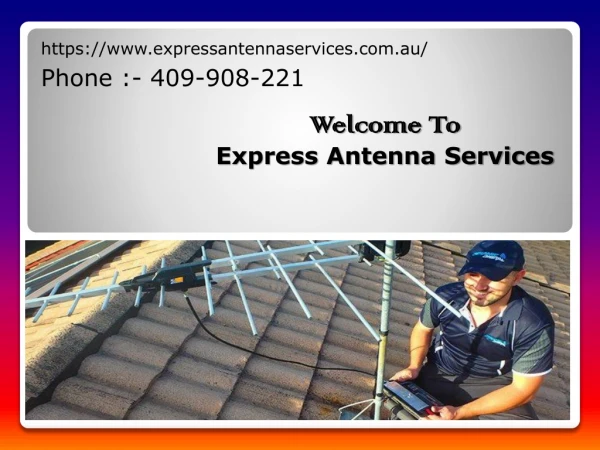 https www expressantennaservices com au