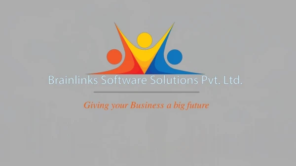 BrainLink Software Solutions - Software & Web Design Company in Jaipur, India
