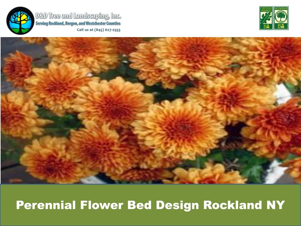 perennial flower bed design rockland ny