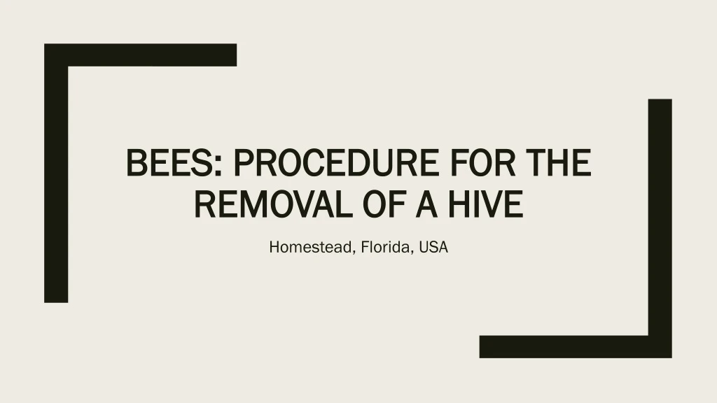 bees procedure for the removal of a hive