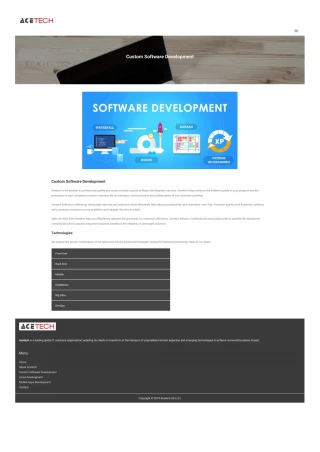 Custom Software Development - slide 1