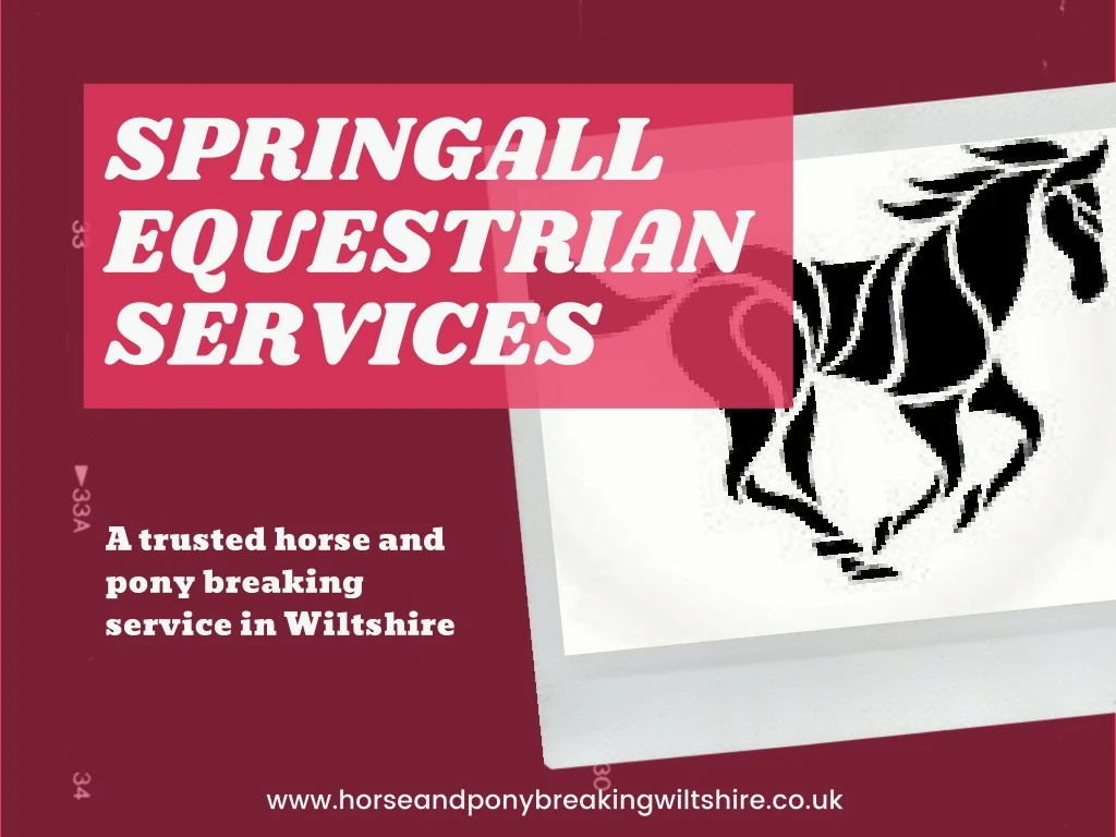 springall equestrian services