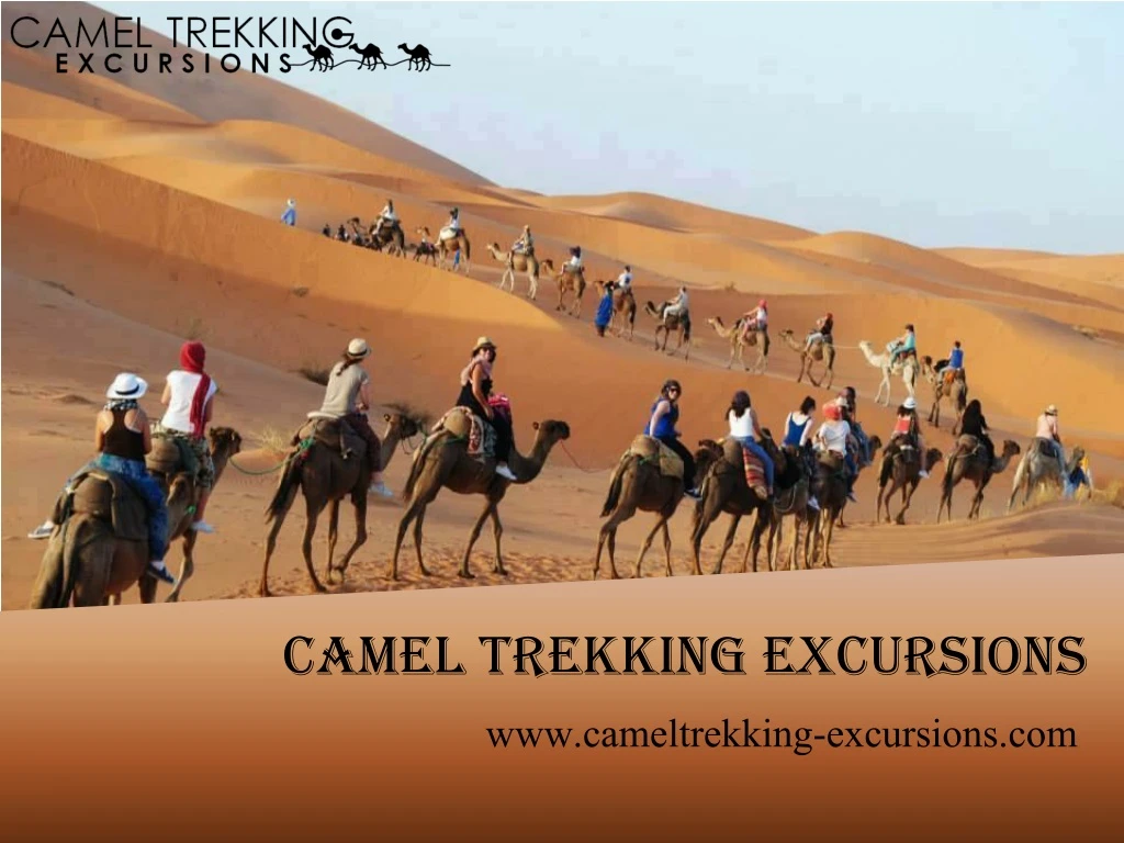 camel trekking excursions