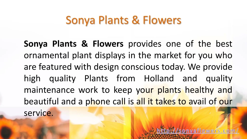 sonya plants flowers