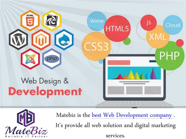 Search For A Great Web Development Company - Matebiz India