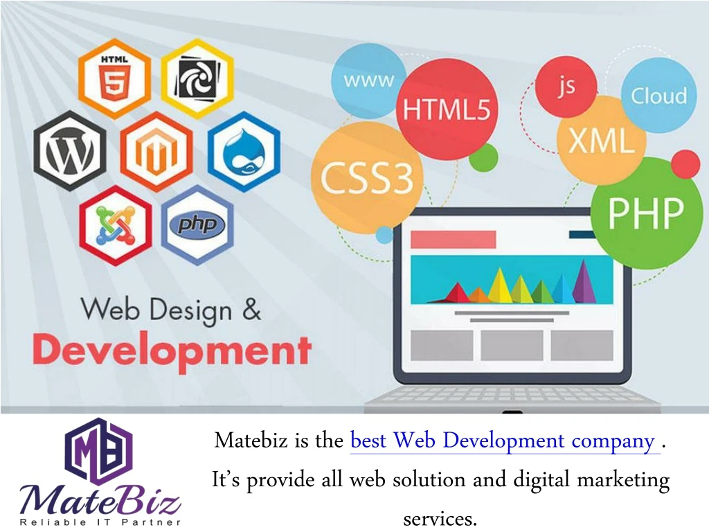 matebiz is the best web development company