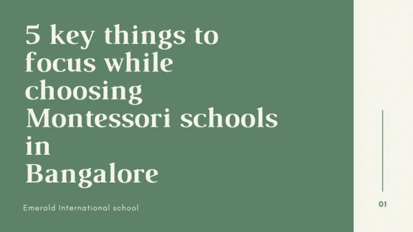 5 key things to focus while choosing Montessori schools in Bangalore