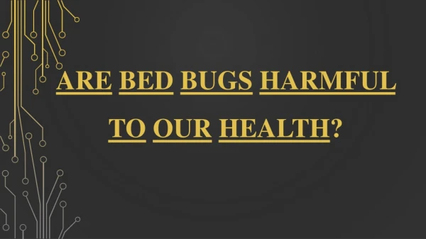 Bed Bugs Removal Singapore