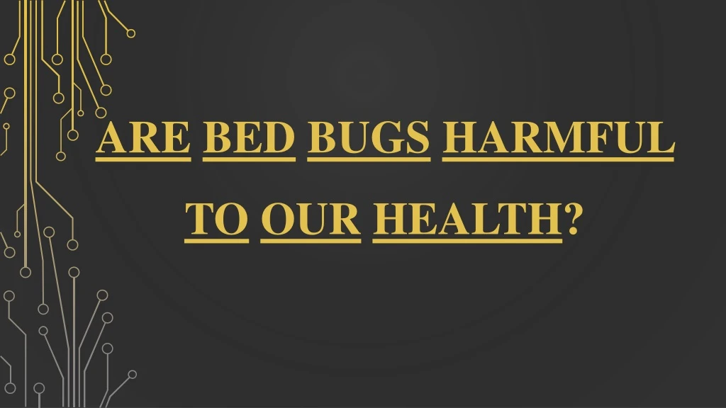are bed bugs harmful to our health