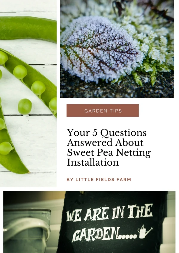 garden tips