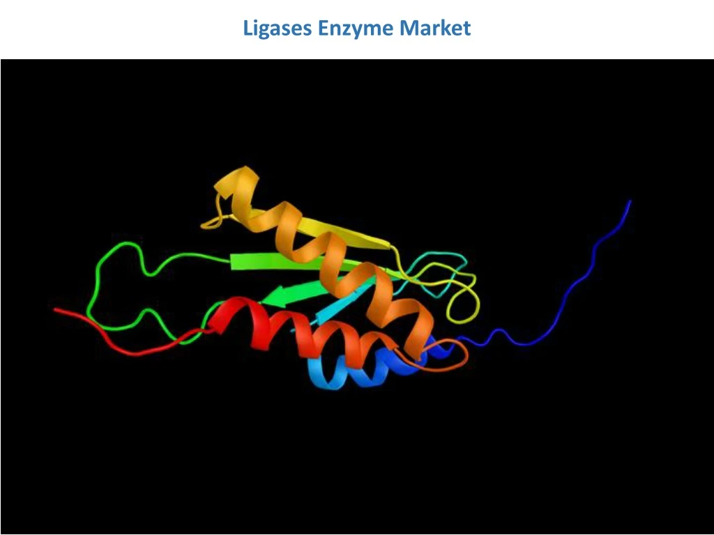 ligases enzyme market