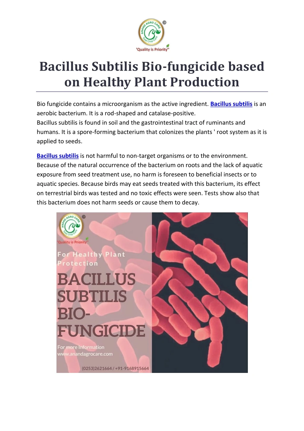 bacillus subtilis bio fungicide based on healthy
