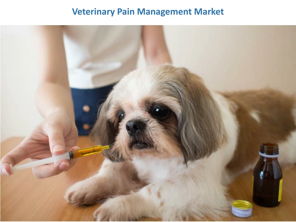 veterinary pain management market