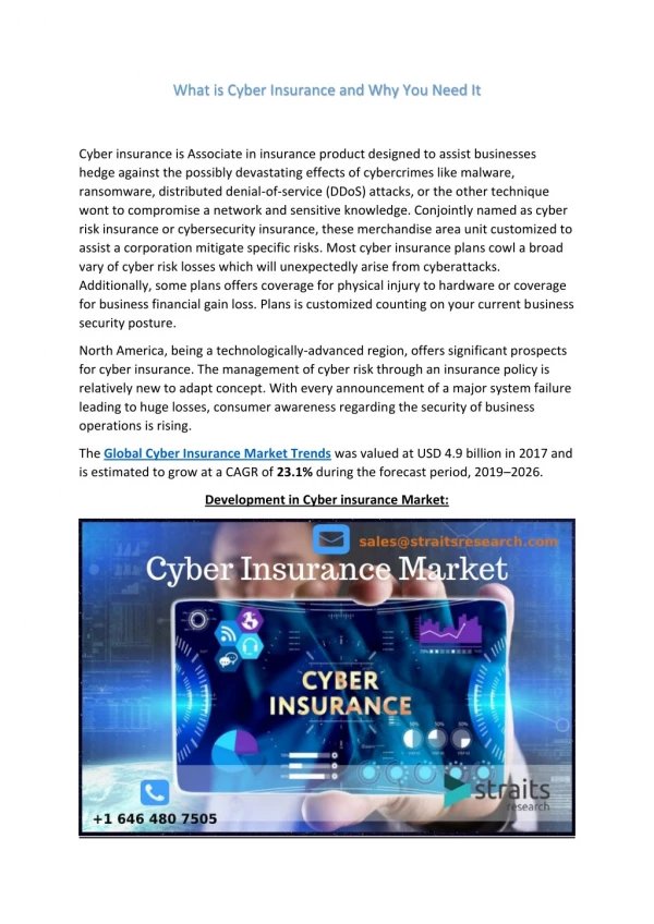 Cyber Insurance Market