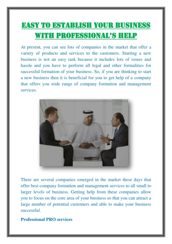 Easy to establish your business with professional’s help